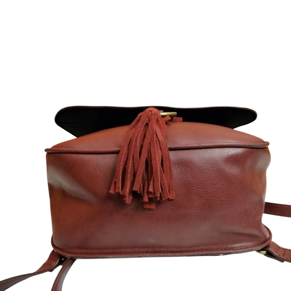 American Eagle Outfitters Burgundy and Dark Brown Backpack
